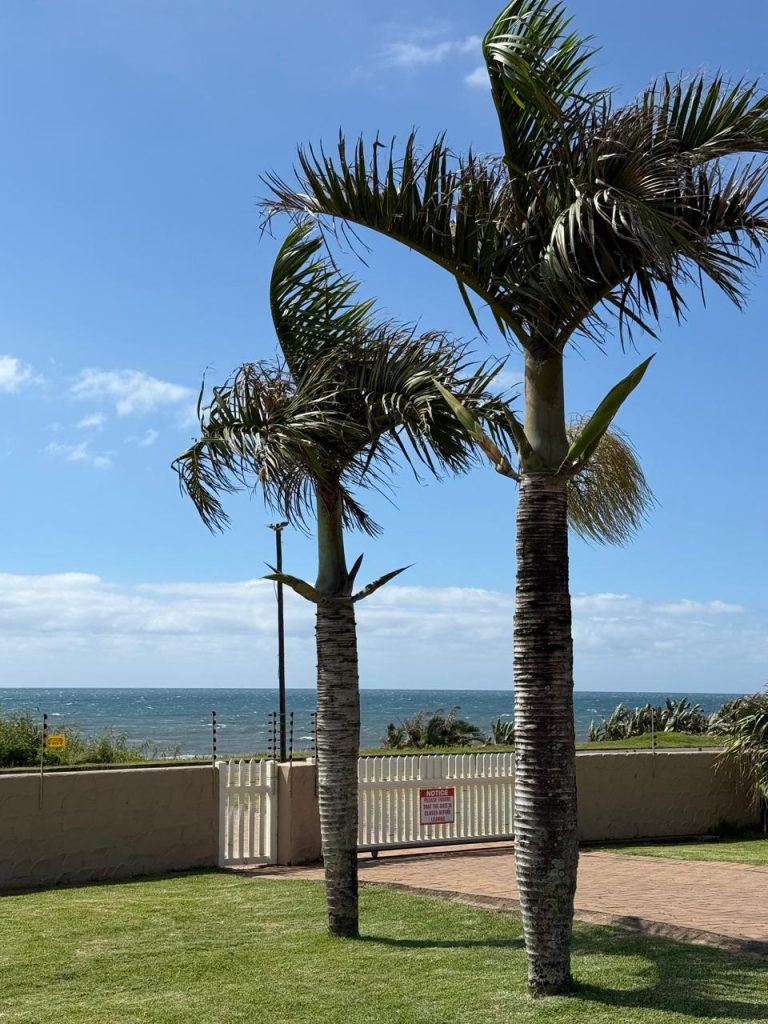 PHOTO-2025-12-30-09-12-49